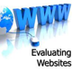 Evaluating websites