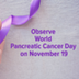 Observe World Pancreatic Cance