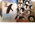 Antarctica Picture Book