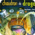 Le chaudron du dragon BOOKABOO