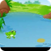 Learn all about a Frog Life Cy