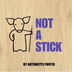 Not a Stick by Antoinette Port