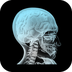 Anatomy 4D