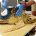 Newsela | Scientists say more