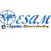 ESAM E-learning consulting - C