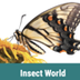 Insect World ebook