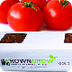 How to Grow Tomatoes in Grow B