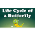 Life Cycle of a Butterfly - Yo