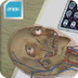 DAQRI Anatomy 4D