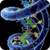 Ácidos nucleicos: ADN y ARN