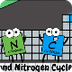 Carbon and Nitrogen Cycles - Y