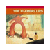 flaminglips.com