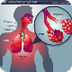 Your Respiratory System | Disc