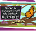 How a Caterpillar / Butterfly
