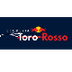 Equipo Toro Rosso STR10 - Fórm