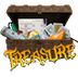 Trash to Treasures 