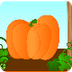 Pumpkin decorating