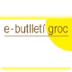 Butlletí groc - FICF