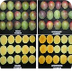 variedad pi�a - Buscar con Goo