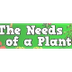 The Needs of a Plant  