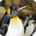 Central Park Zoo