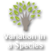 Variation in a Species