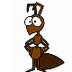 BioKIDS - Ants