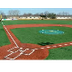 History of Softball