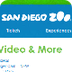  San Diego Zoo Live Cams