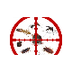 Pest Control Protect Your City