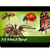 All About Bugs - YouTube