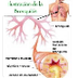 Anales del Sistema Sanitario d