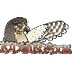 Owl Pellets