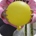 Опыт  с воздушным шариком - Yo