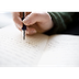 Professional Essay Writing