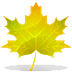 Leaf Sort