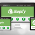 Avail high quality Shopify pro