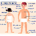 Le corps humain - vocabulaire