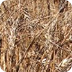 Economy of Saskatchewan