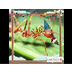 Chatterpix Insects - YouTube