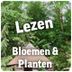 bloemenenplanten.nl
