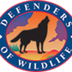 Wildlife | Defenders