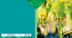 10 Plants 6.pdf - Google