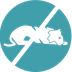 Dead Animal Removal Services B