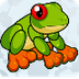 Frog Animod