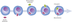 Plant Cells, Chloroplasts, Cel
