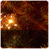 Kerst recepten