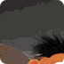 Raadspel