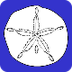 Sand Dollars