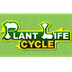 Life Cycle of Plants